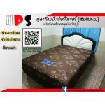 เตียงบล็อค หัวใบมีขอบดำ