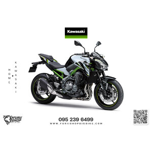 Kawasaki Z900 2017-2019