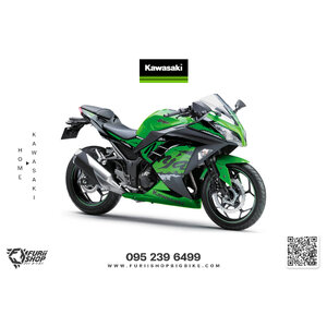 Kawasaki Ninja300, Z300 2015-2017