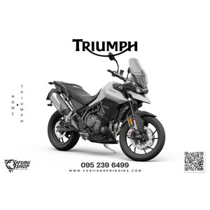 TRIUMPH Tiger900 2020