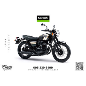Kawasaki W800 2017