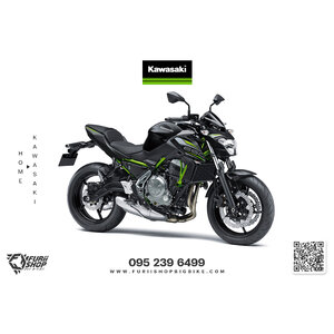 Kawasaki Ninja650, Z650 2017