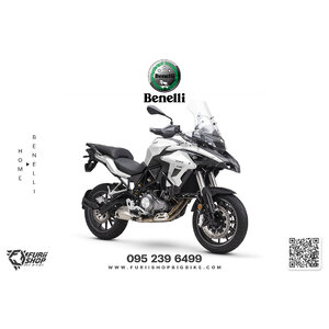 BENELLI TRK502