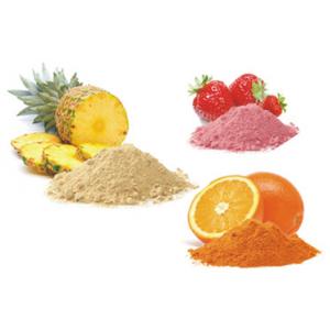 เครื่องดื่มผงสำเร็จรูป น้ำผลไม้ผง (Instant Drink Powder / Fruit Juice Powder)