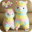 Alpacasso Rainbow อัลปาก้าสายรุ้ง
