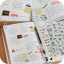 Cute Piggy Stickers สติกเกอร์รูปหมูน้อย 6 ชุด