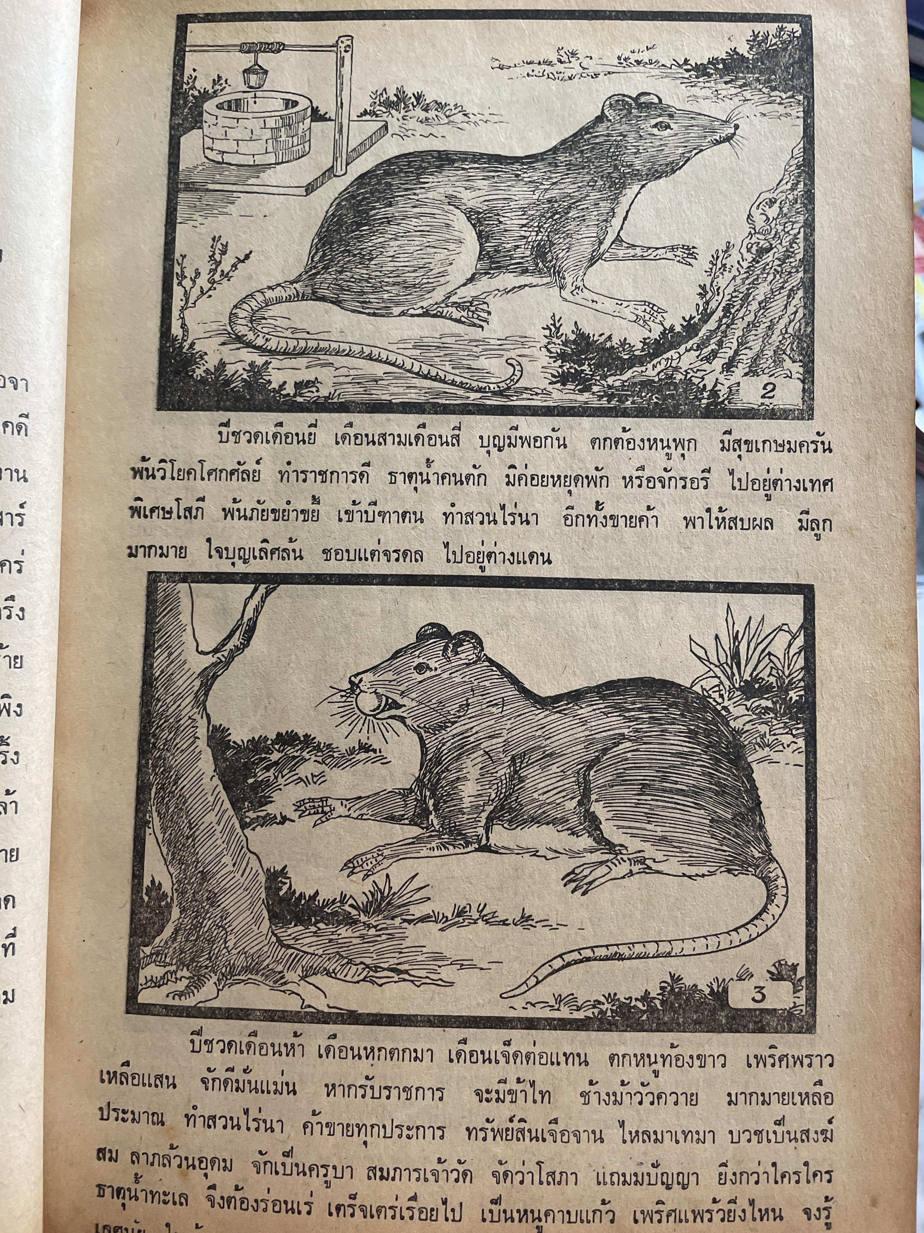 ตำราพรหมชาติ ฉบับชาวบ้าน ดูได้ด้วยตนเอง 4,500 กรัม