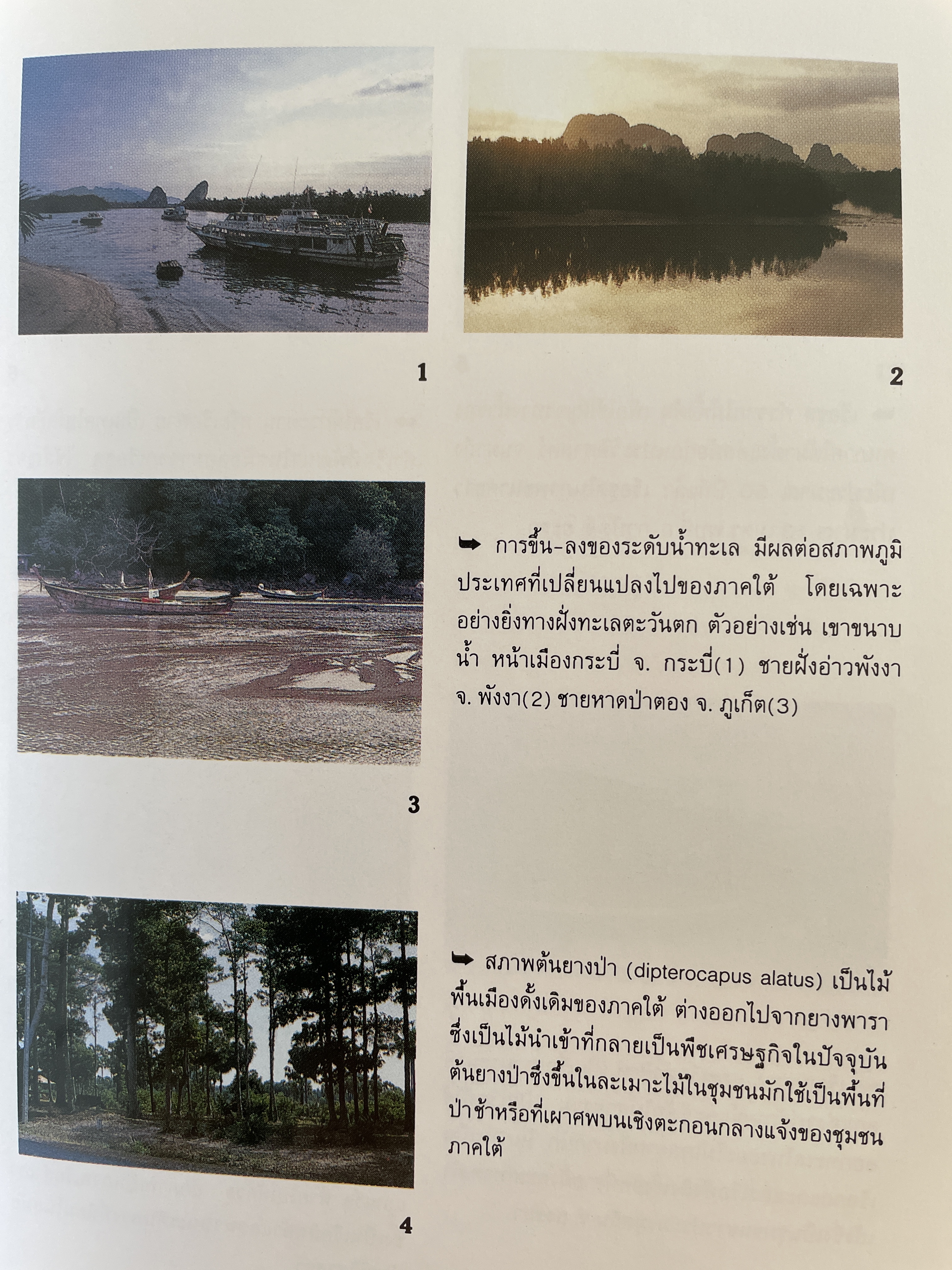 สายรากภาคใต้ ภูมิลักษณ์ รูปลักษณ์ จิตลักษณ์ ผู้เขียน อมรา ศรีสุขาติ 0 กก.
