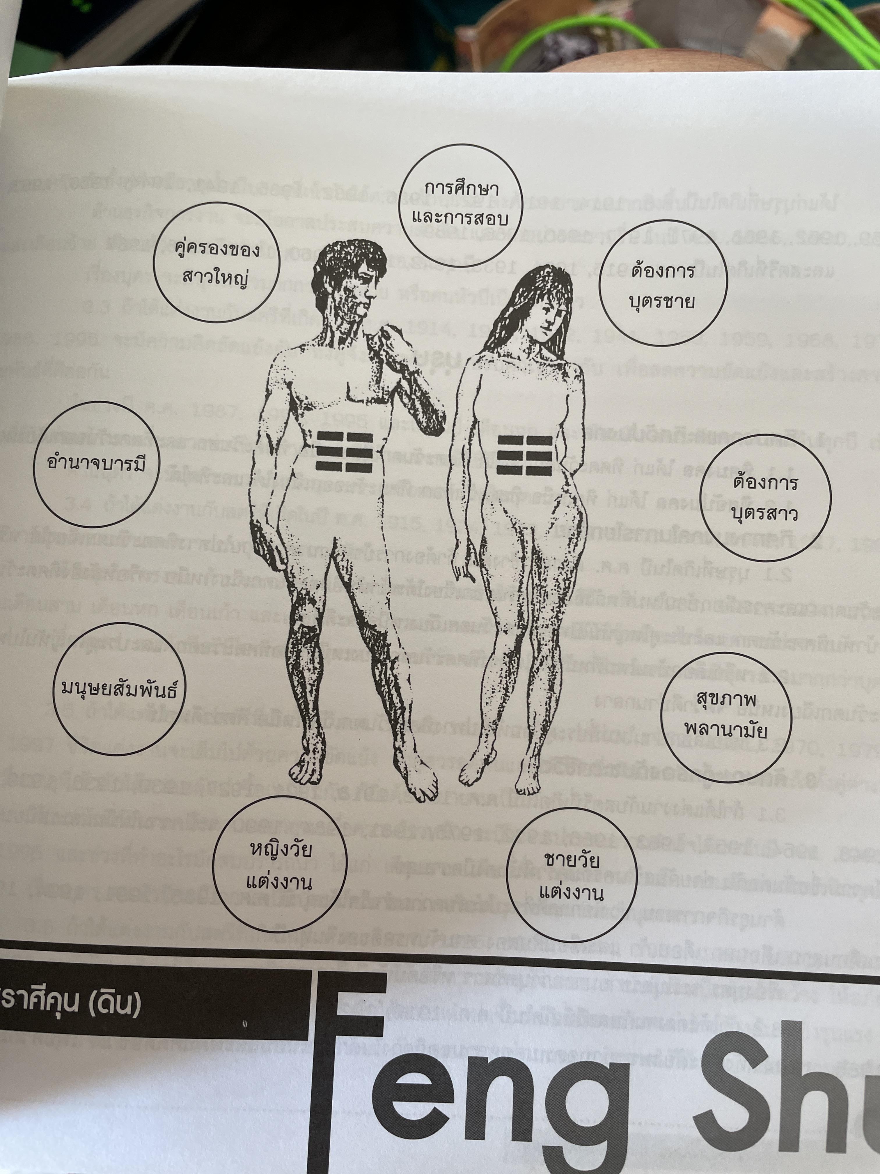 ฮวงจุ้ย ฉบับสมบูรณ์ ศาสตร์แห่งความสำเร็จ การออกแบบฮวงจุ้ยบ้าน เพื่อความสำเร็จในชีวิต CHINESE GEOMANCY. พลิกโชคชะตาให้ดีขึ้นจากคู่มือที่สามารถทำได้ด้วยตนเอง ผู้เขียน หลี่เหยินซุยและคณะ 1,800 กรัม