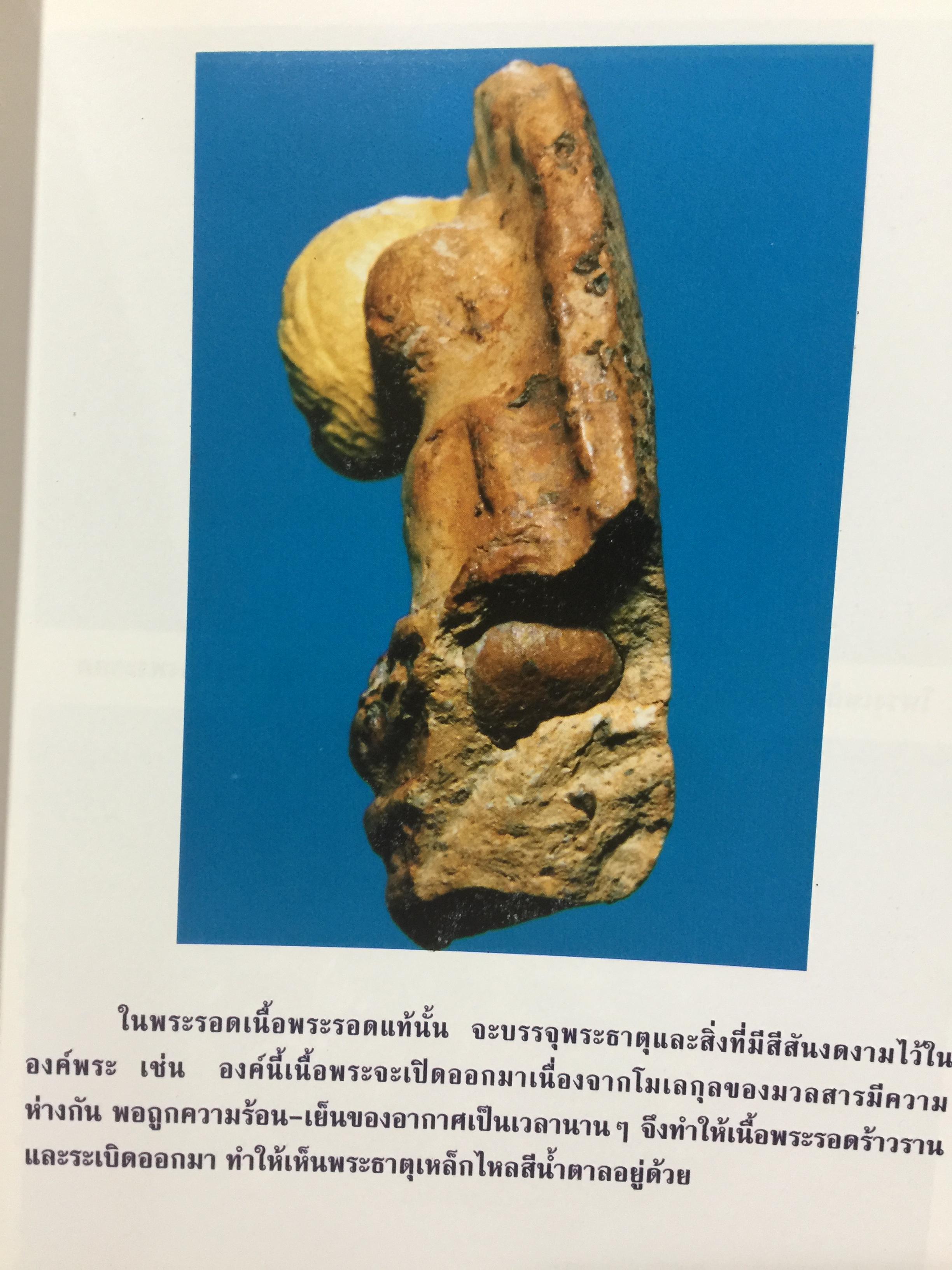 พระรอด เล่ม 1 พระรอดพิมพ์ชนิดต่างๆ. มวลสารที่ใช้ในการสร้างพระรอด. พระรอดจากกรุต่างๆ. จัดทำโดย อรรคเดช กฤษณะดิลก 0 กก.