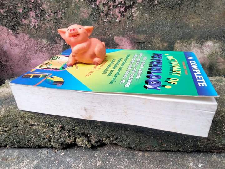 พจนานุกรมจิตวิทยาฉบับสมบูรณ์ Dictionary Psychology ฉบับ อังกฤษ-ไทย