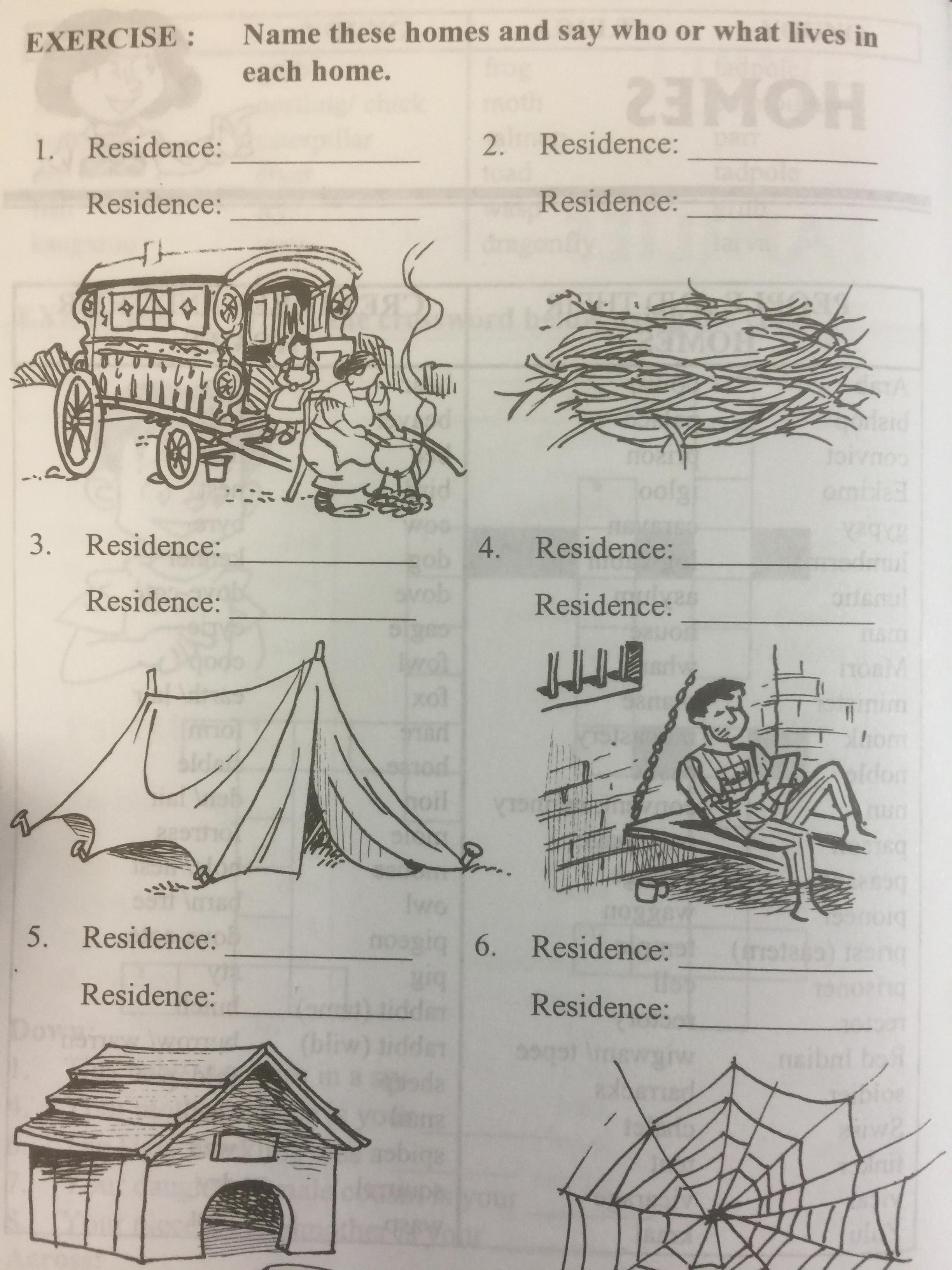 BASIC STUDENTS ‘ VOCABULARY is a most comprehensive guide to mastering the English language BY Sophie Leu . 0 กก.
