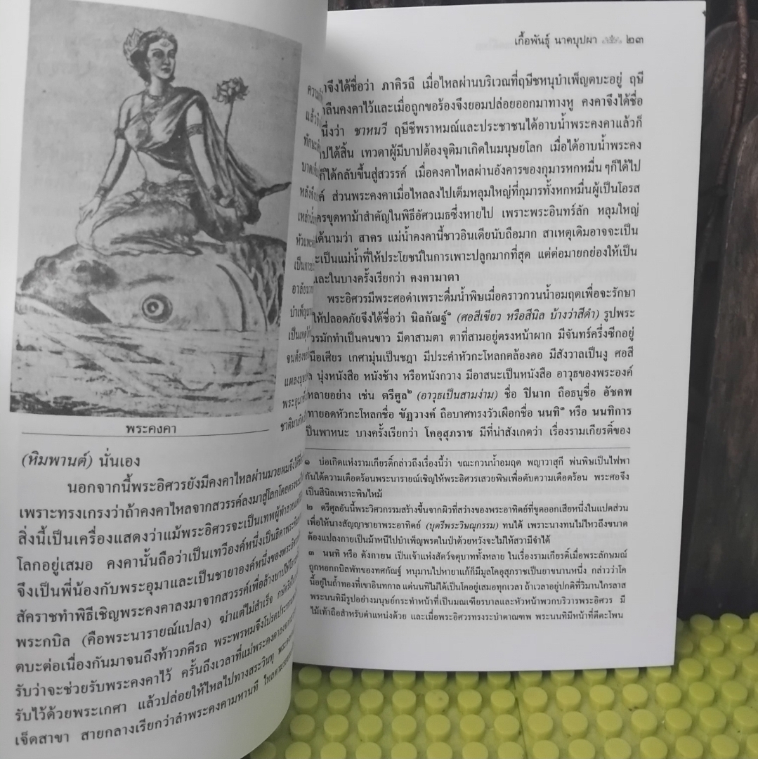 พื้นฐานการอ่านวรรณคดีไทย โดย เกื้อพันธุ์ นาคบุปผา หนังสือหายากใช้เป็นหนังสืออ้างอิงวรรณคดีไทยได้ มือ1