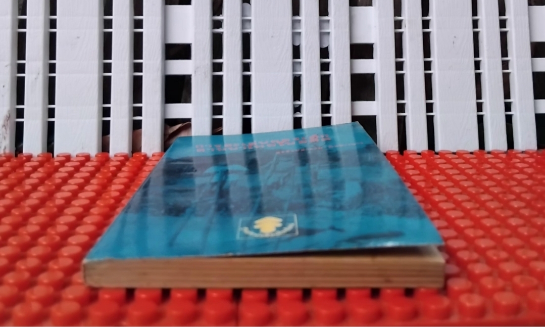 การละเล่นของเด็กลานนาไทยในอดีต โดย สุรสิงห์สำรวม ฉิมพระเนาว์ แนวคิดการมองโลกและปรับตัวของเด็ก เทียบมือ1