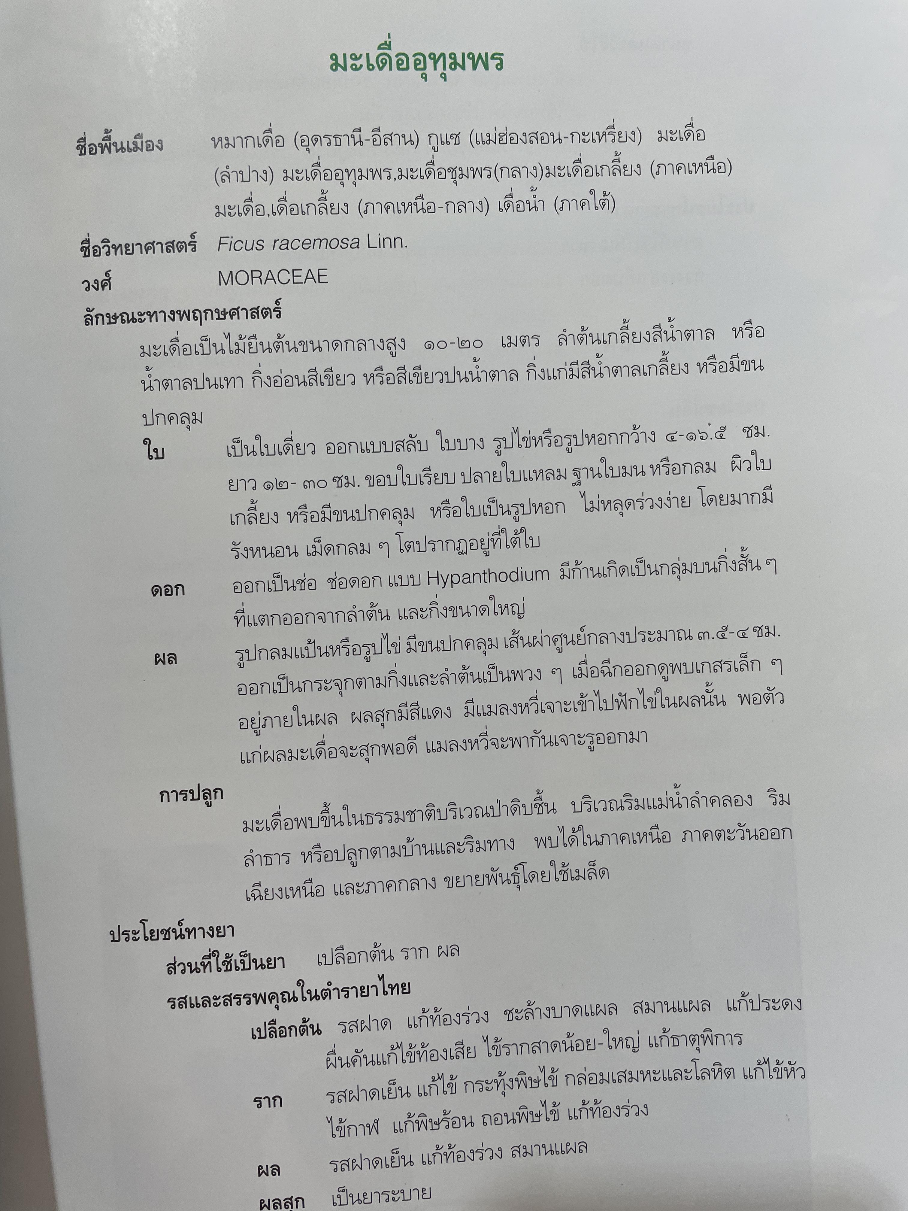 สมุนไพรกับวัฒนธรรมไทย ตอนที่ 1 ต้นไม้ตามทิศ จัดพิมพ์โดย สถาบันการแพทย์แผนไทย กรมการแพทย์ กระทรวงสาธารณสุข 0 กก.