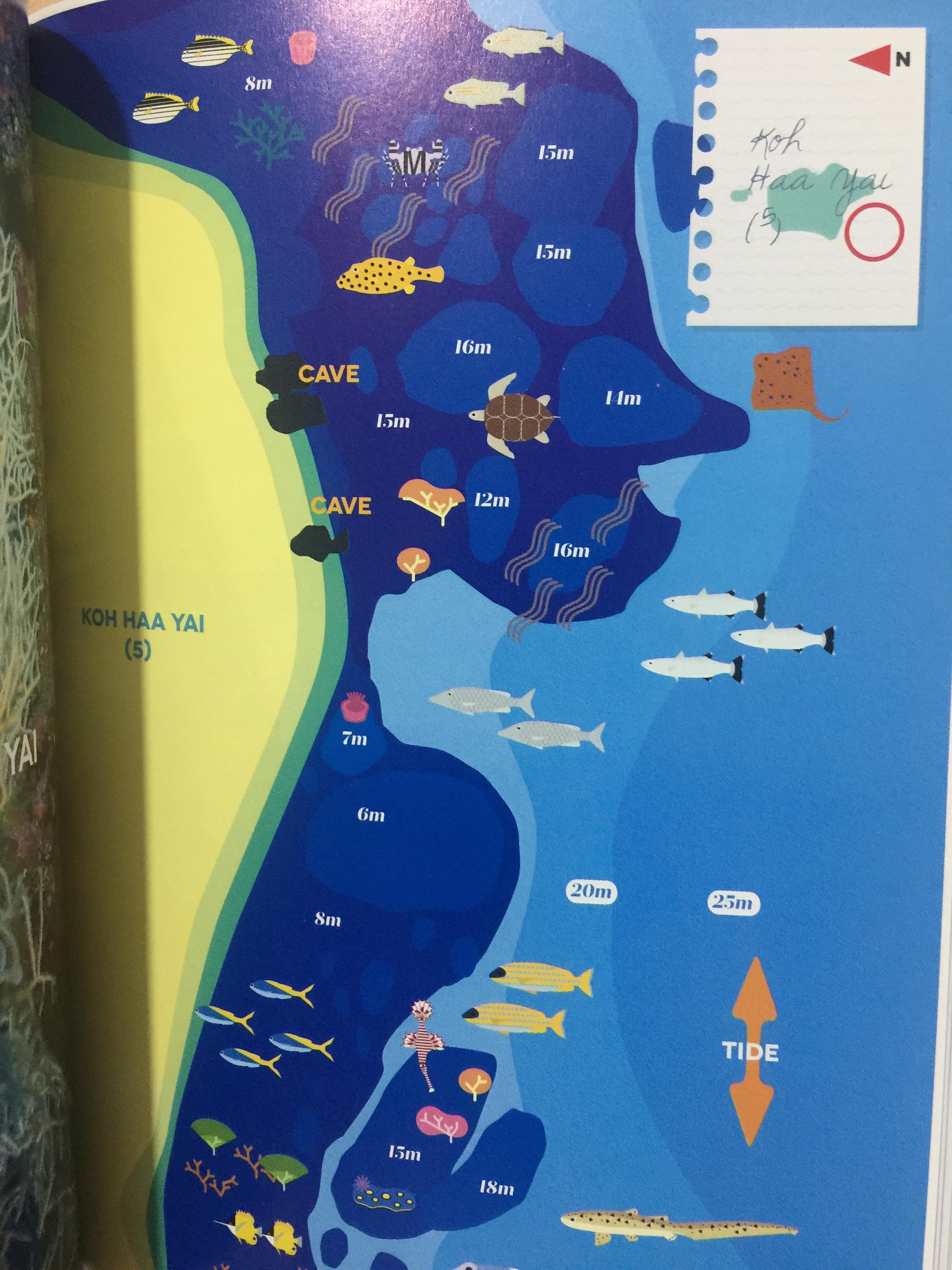 แหล่งดำน้ำที่สำคัญในประเทศไทย. DIVING ATTRACTIONS IN THAILAND 0 กก.