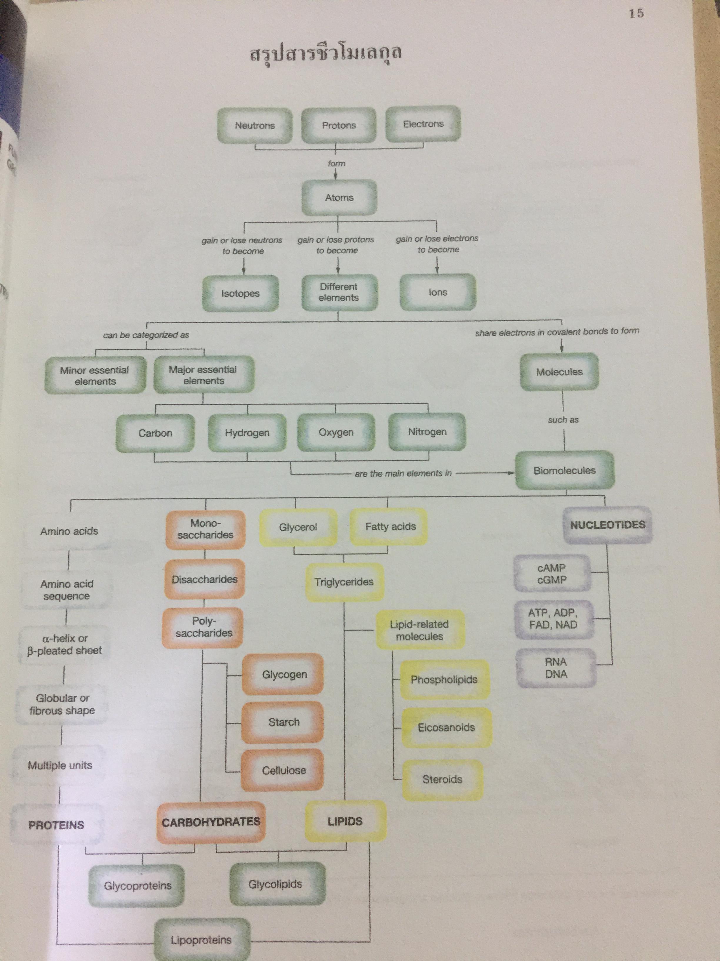 BIOLOGY ผู้เขียน อาจารย์ เอกฤทธิ์ วีระพันธุ์ 0 กก.