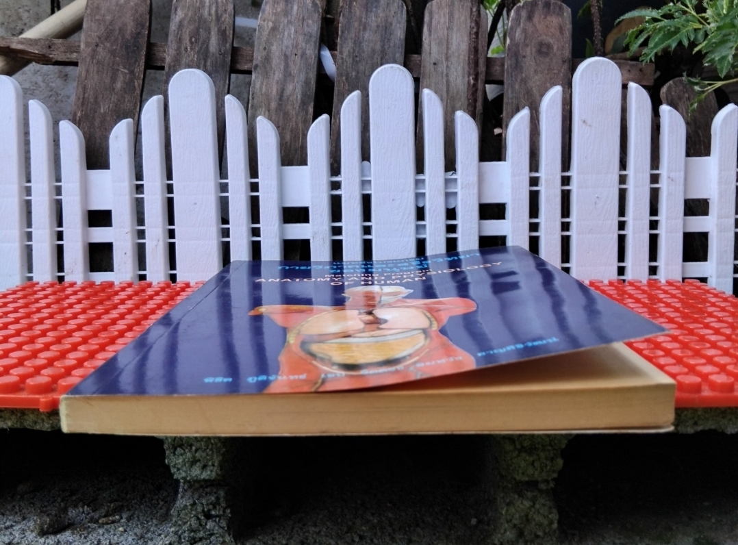 แมทชิ่งโปรแกรม กายวิภาคและสรีรวิทยาของมนุษย์ โดย พิชิต ภูติจันทร์ แนวคิดหลัก-แบบทดสอบ-เฉลย มือ1