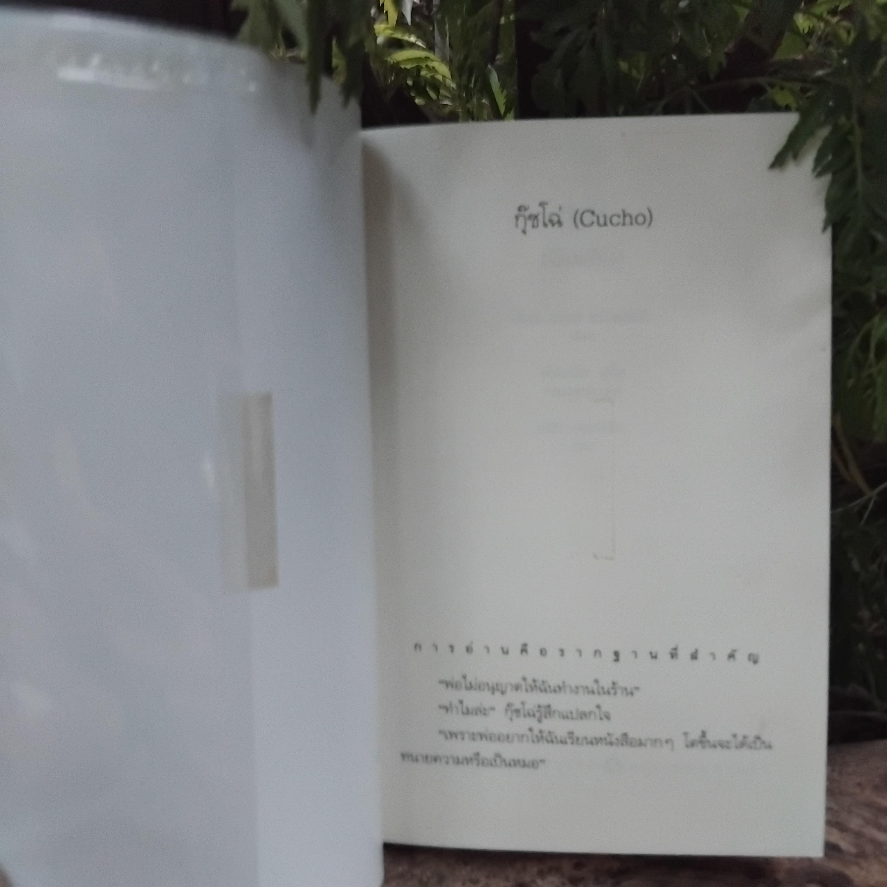 วรรณกรรมเยาวชนแปลของ โฆเซ่ หลุยส์ โอไลยโซล่า 2 เรื่องคือ โบนี่ มาร์ติน(เกือบจะ)โชคร้ายที่เกิดมารวย และ กุ๊ชโฉ่