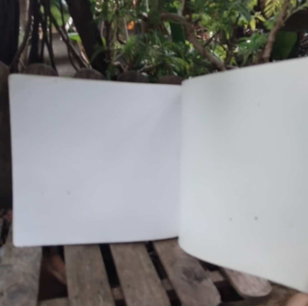 ผักพื้นบ้าน ความหมายและภูมิปัญญาของสามัญชนไทย กำเนิดผักพื้นบ้าน ชนิด-ประโยชน์ทางยา สูตรปรุงอาหาร สะสม