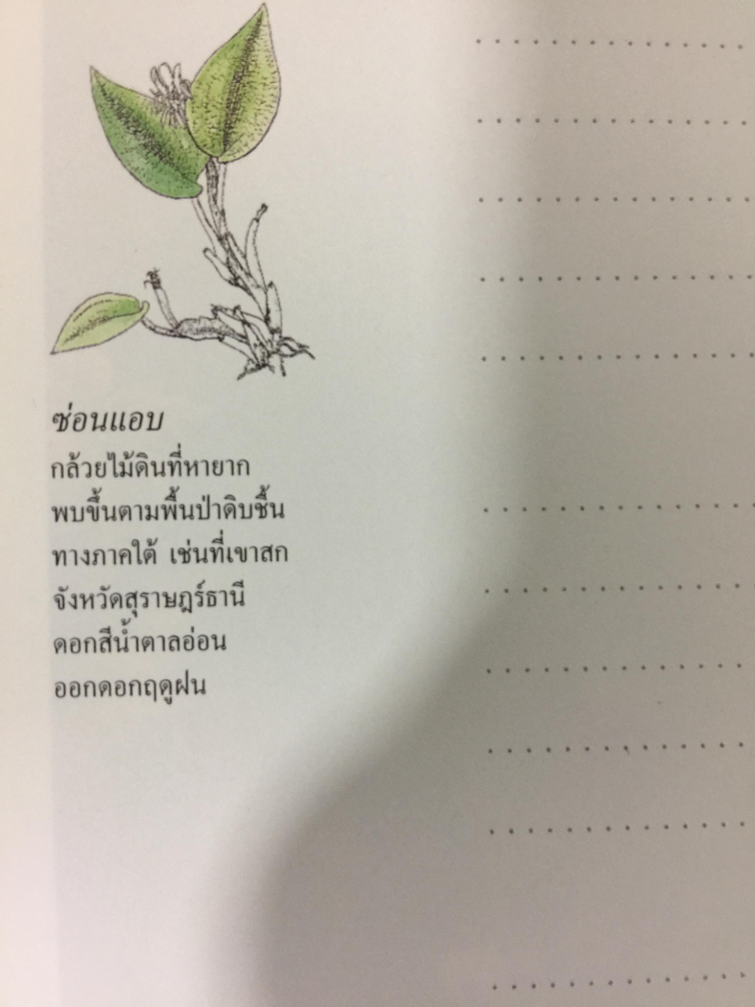 Wild Orchids of Thailand 0 กก.