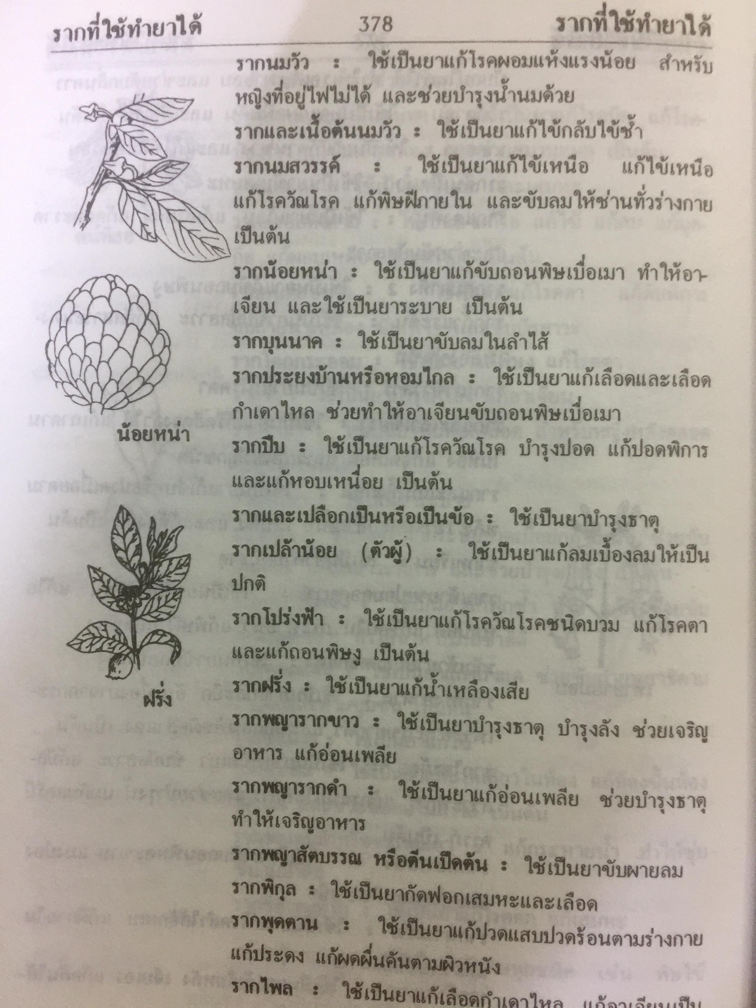 พจนานุกรม สมุนไพรไทย.(ฉบับสรรพคุณยาไทย) โดย ดร.วิทย์ เที่ยงบูรณธรรม 0 กก.