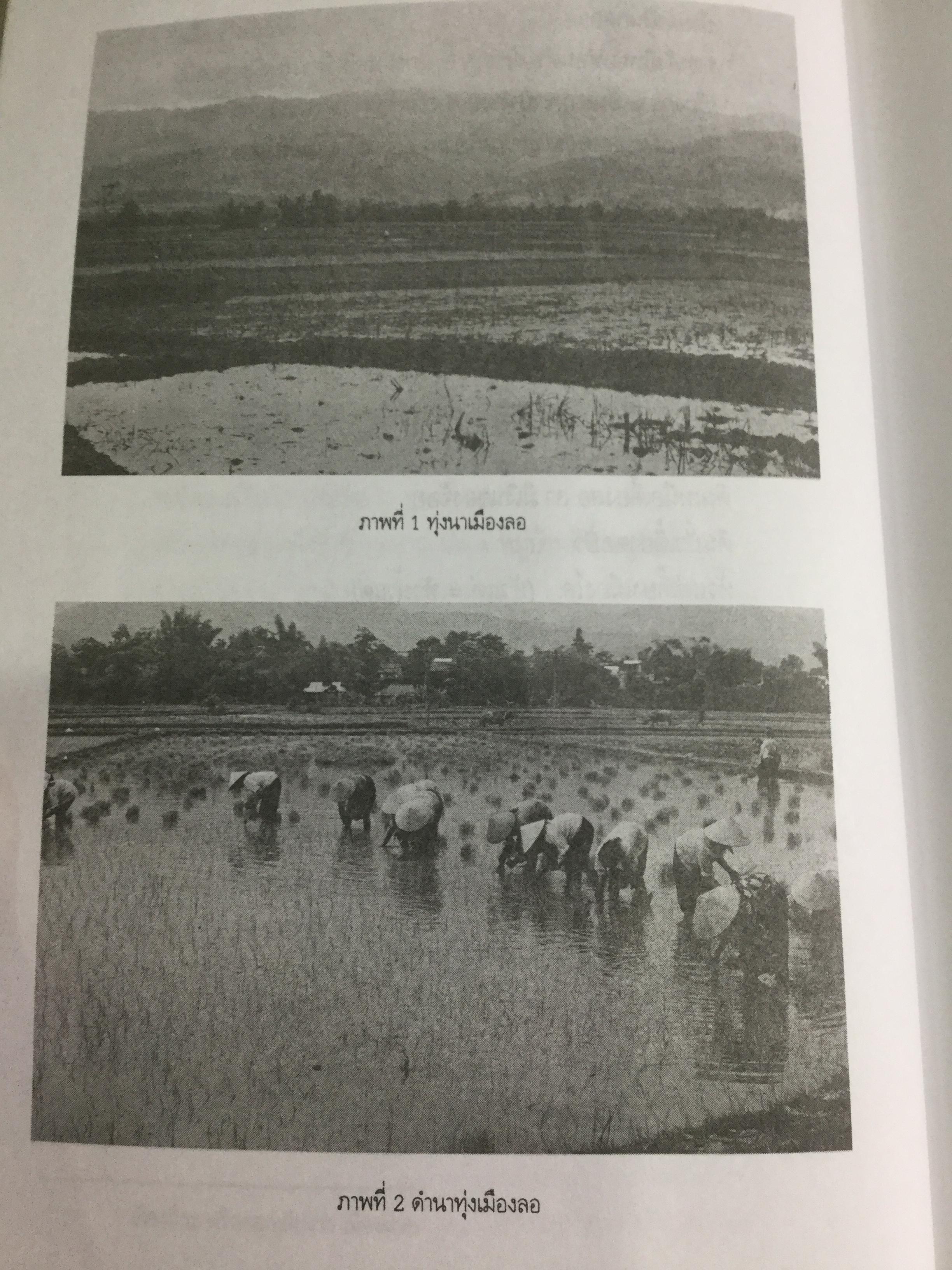 ประวัติศาสตร์สิบสองจุไท ผู้เขียน ภัททิยา ยิมสวัสดิ์ 0 กก.