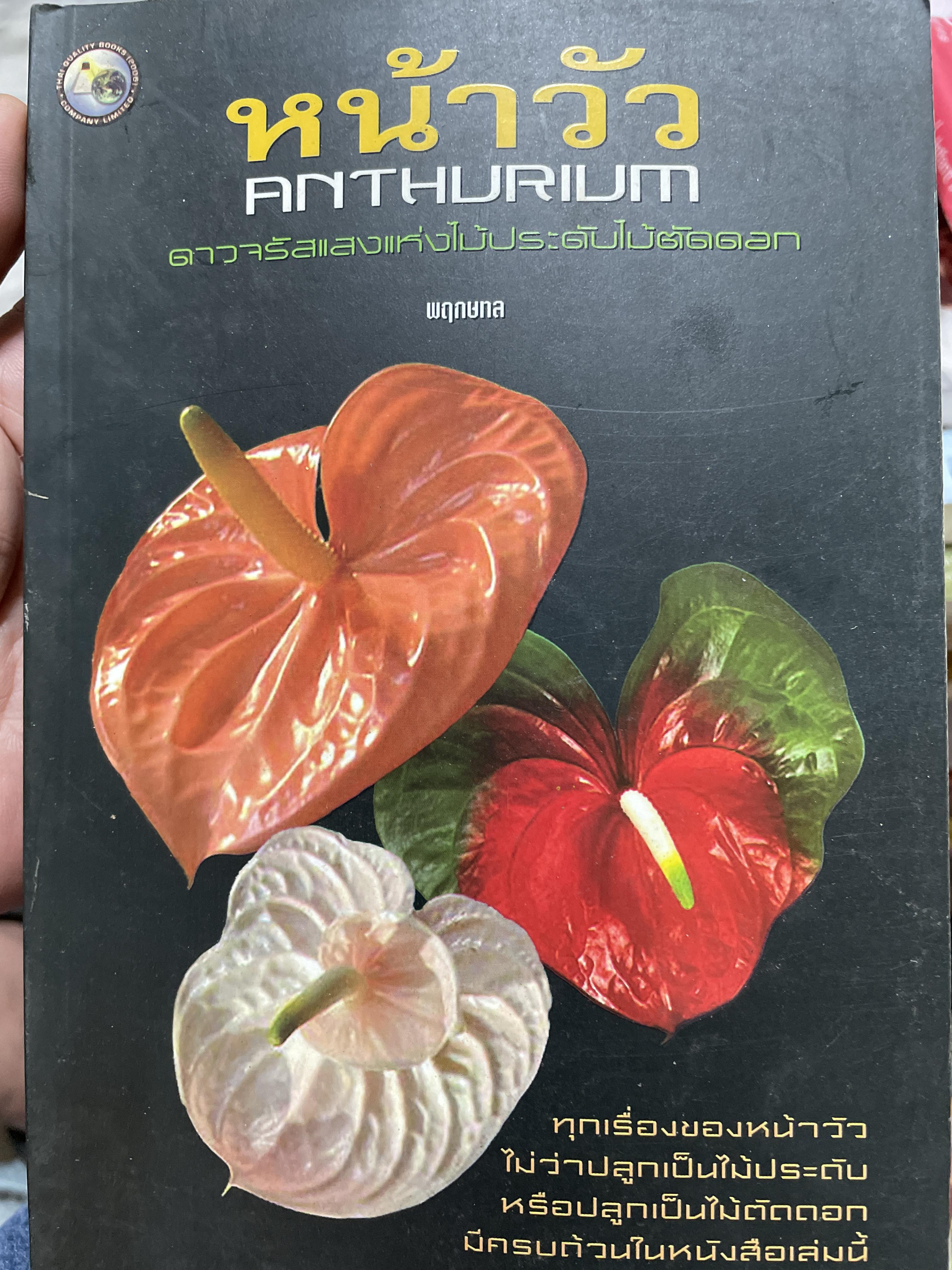 หน้าวัว ANTHURIUM. ดาวจรัสแสงแห่งไม้ประดับไม้ตัดดอก ทุกเรื่องของหน้าวัว ไม่ว่าปลูกเป็นไม้ประดับหรือปลูกเป็นไม้ตัดดอก มีครบถ้วนในหนังสือเล่มนี้ ผู้เขียน พฤกษทล 500 กรัม