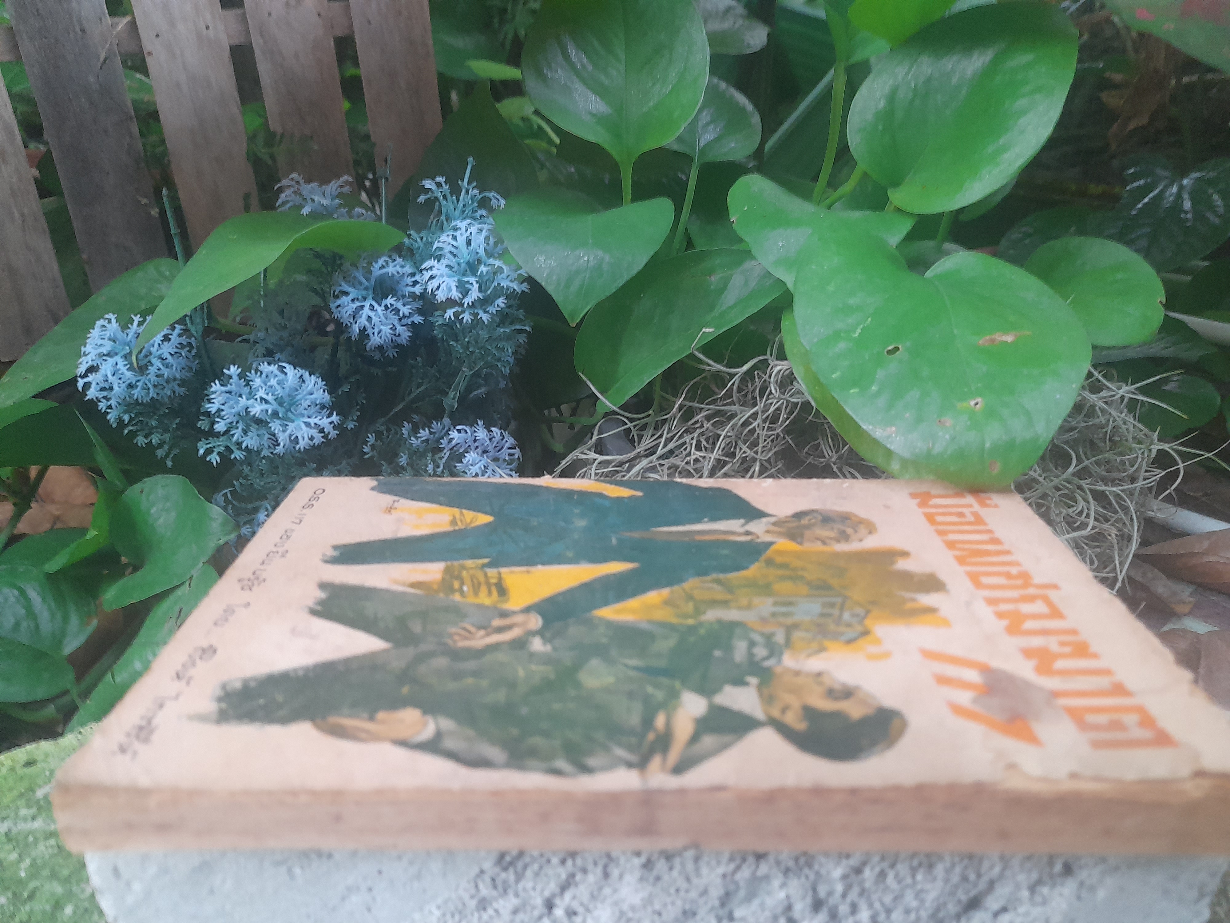 นิยายแปลสายลับ มือเพชฌฆาต117 โดย ยีน บรู๊ซ Jean Bruce กับภารกิจในประเทศไทย