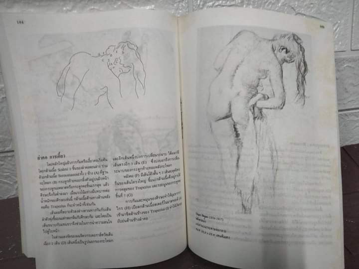 บทเรียนกายวิภาคจากศิลปินเอก