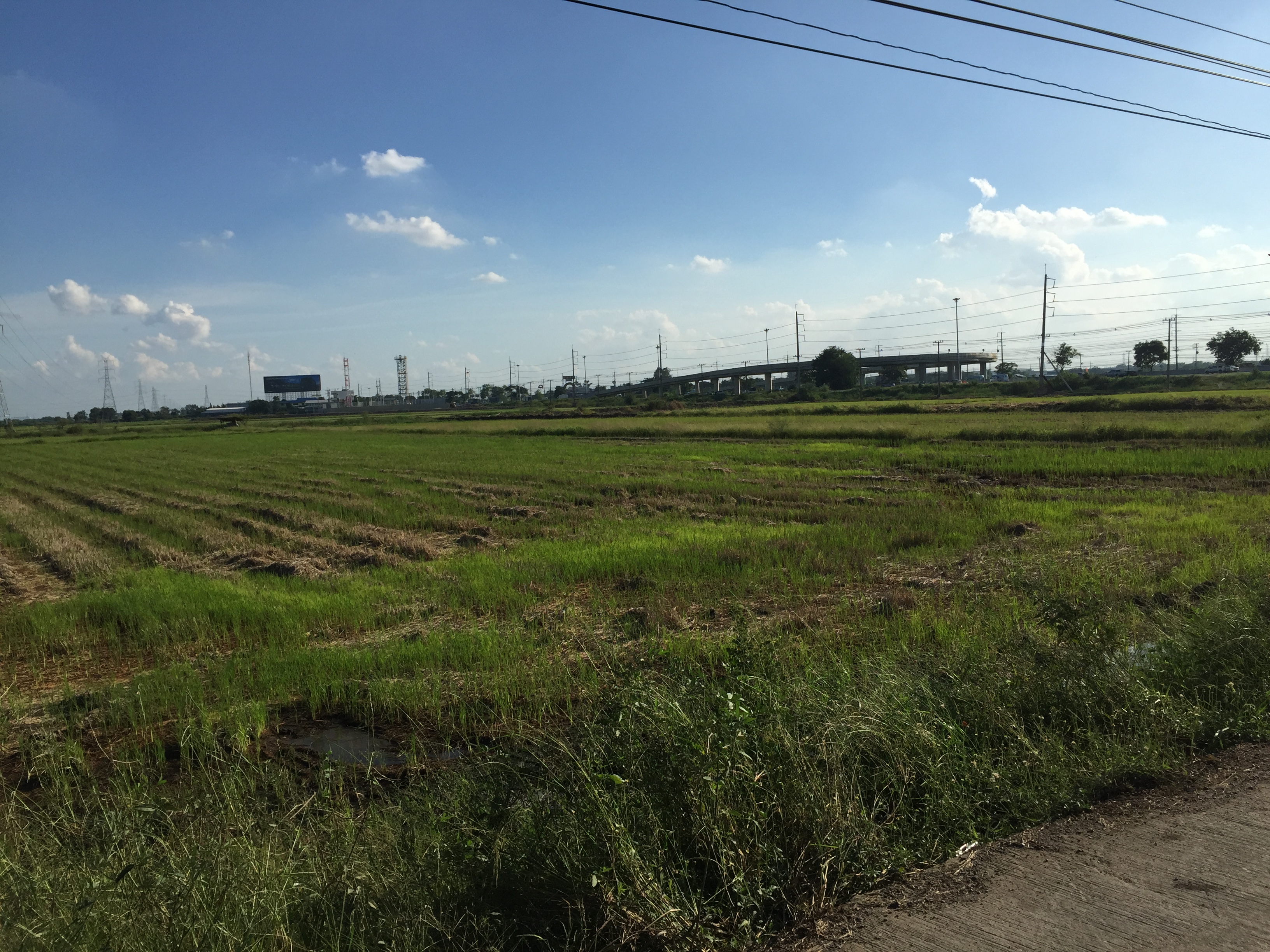 ที่ดินเปล่า19ไร่ ตำบล บ้านหว้า อำเภอ บางปะอิน พระนครศรีอยุธยา