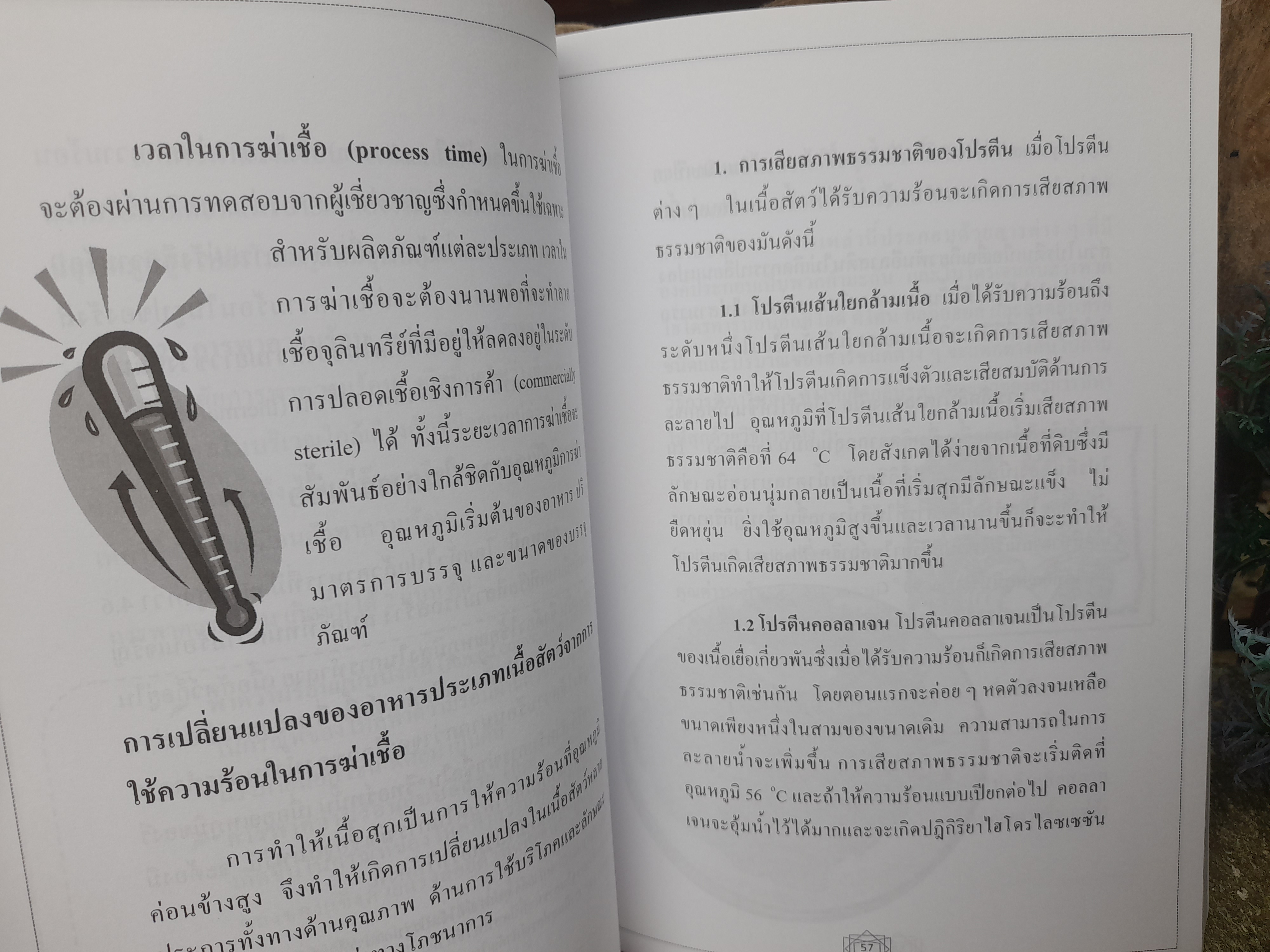 การถนอมอาหาร (เนื้อสัตว์)