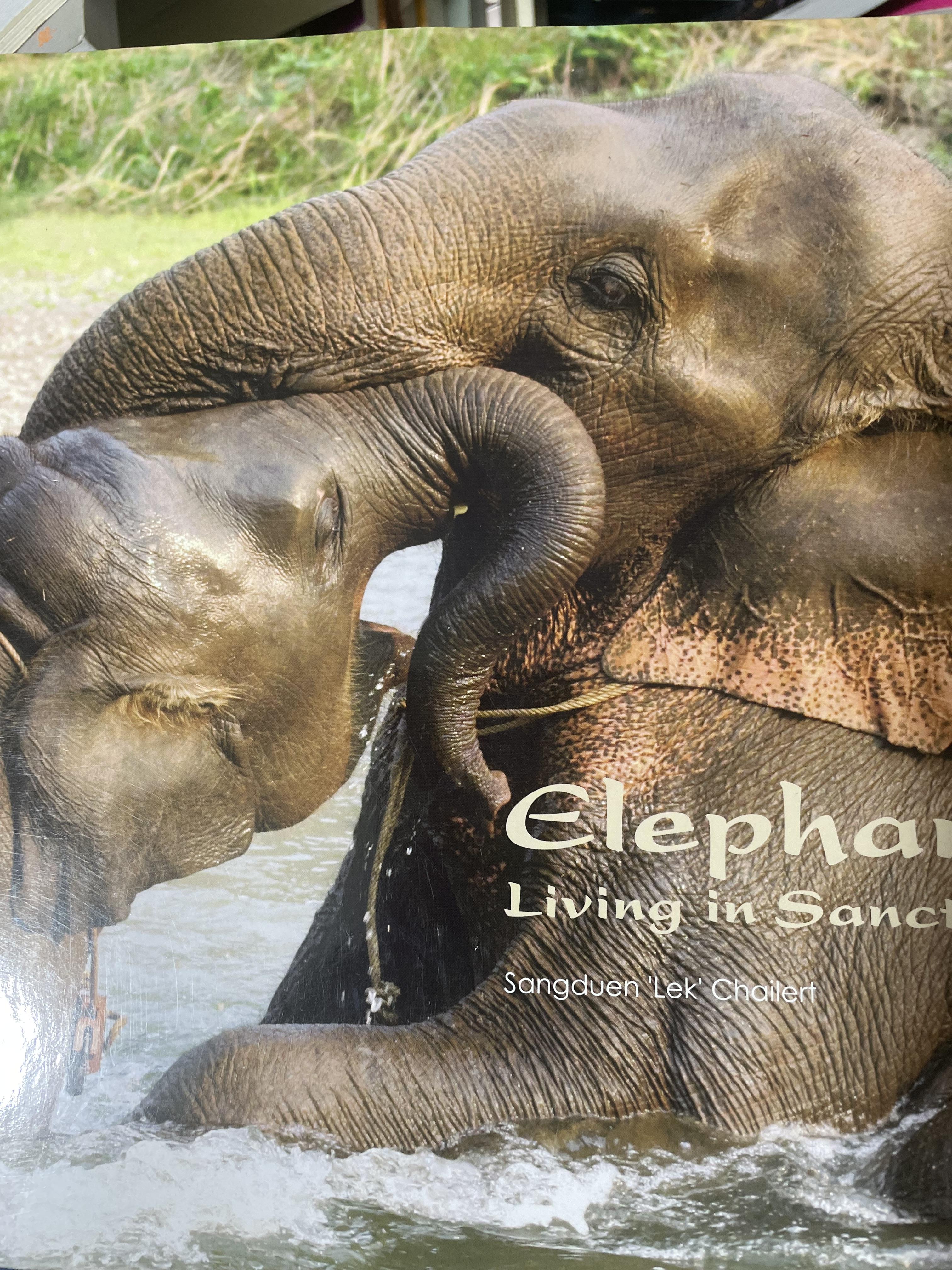 Elephants Living in Sanctuary 3 กก.