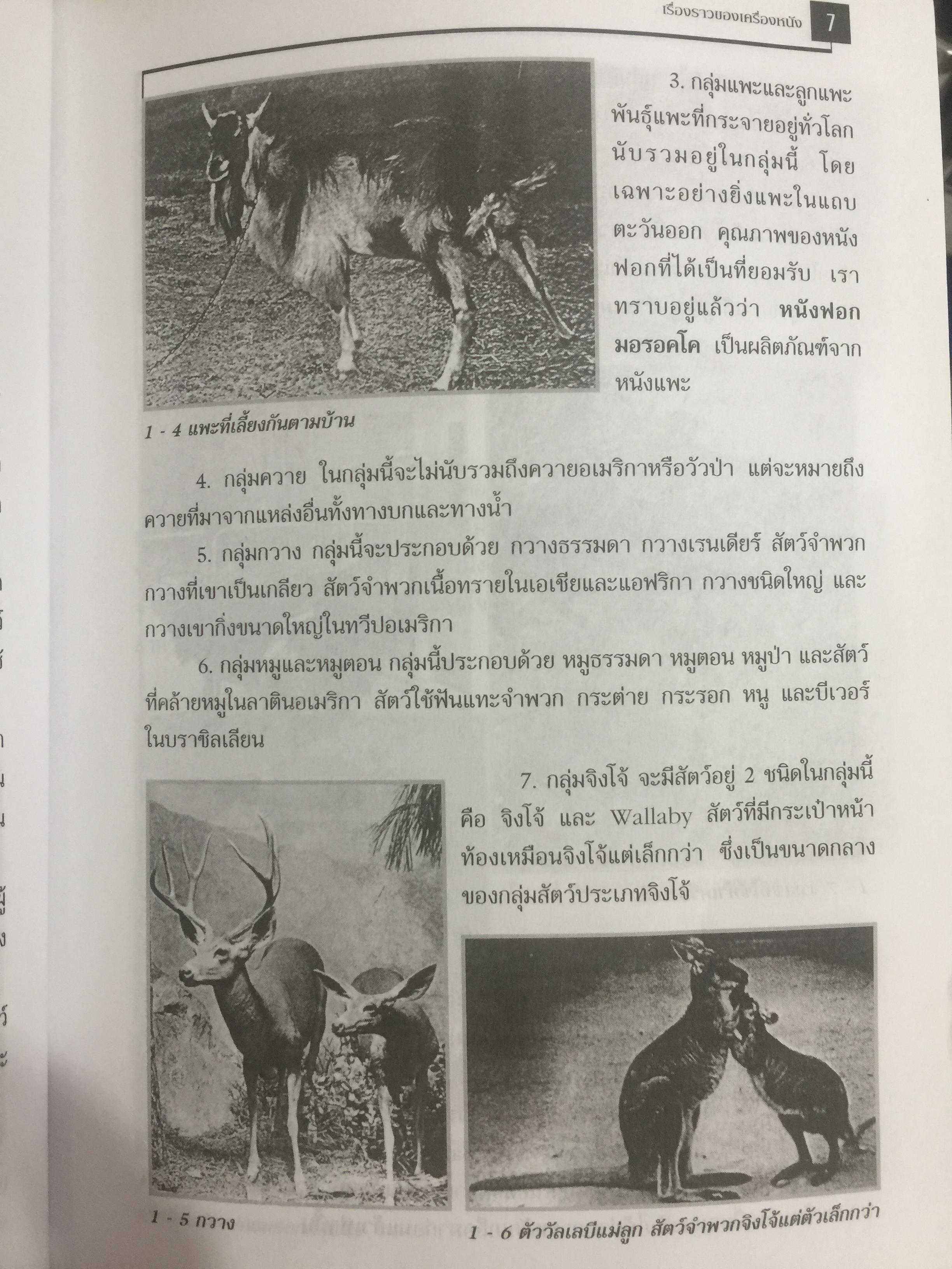 เครื่องหนังพื้นฐาน. ผู้เขียน ประสพ ลี้เหมือดภัย 0 กก.