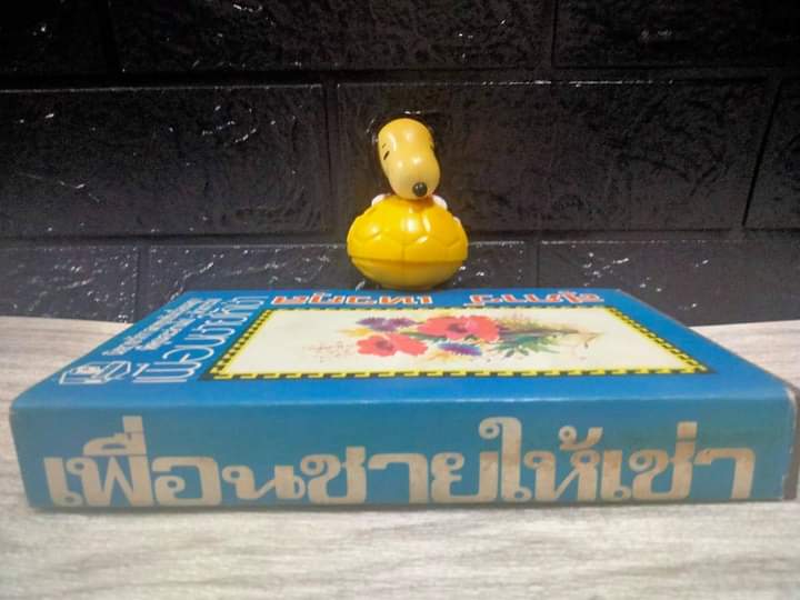 เพื่อนชายให้เช่า เล่มเดียวจบ