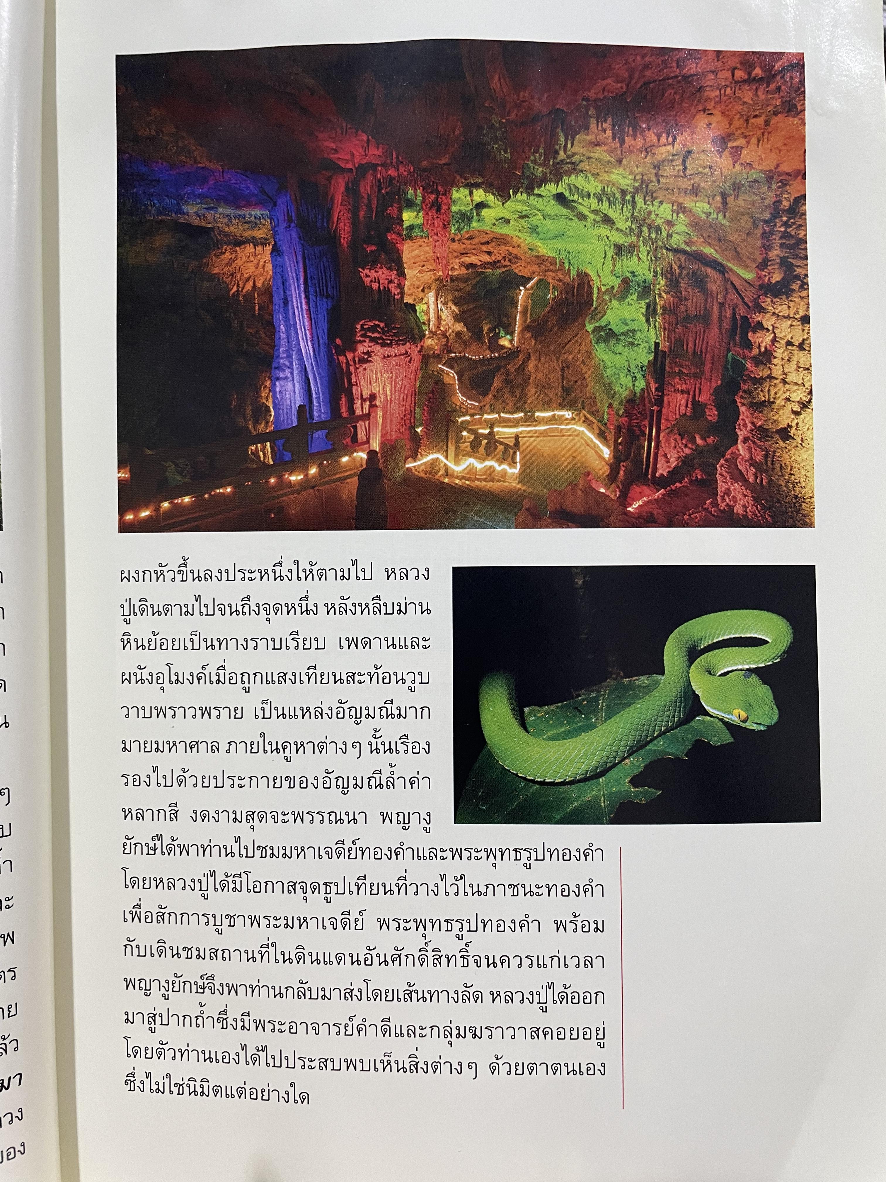 อัศจรรย์บั้งไฟพญานาค รวมภาพและประสบการณ์บั้งไฟพญานาค ปาฏิหาริย์แห่งนาคพิภพ (ไม่มีพระผงพญานาคราชที่แจก) ผู้เขียน อาจารย์ทศพล จังพานิชยากุล) 3,500 กรัม