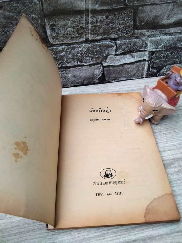 เด็กบ้านทุ่ง เรื่องราวของชีวิตเด็กชนบท