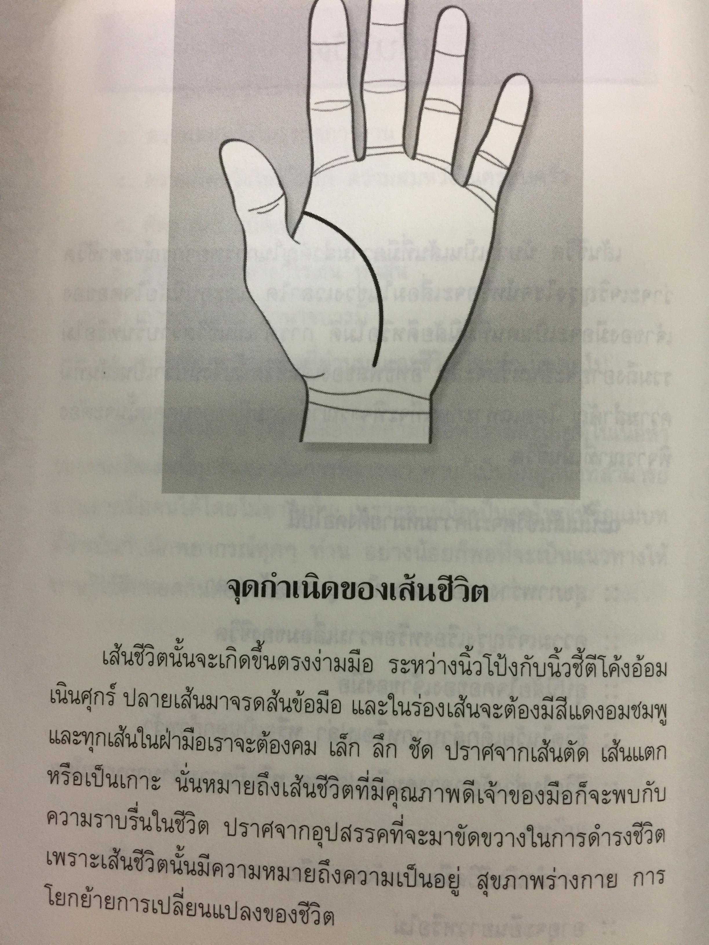ลายมือบอกชีวิต ลิขิตอนาคต. ลักษณะเส้นสายบนฝ่ามือสามารถบอกอะไรได้หลายอย่าง คู่ครอง บุคลิก 0 กก.