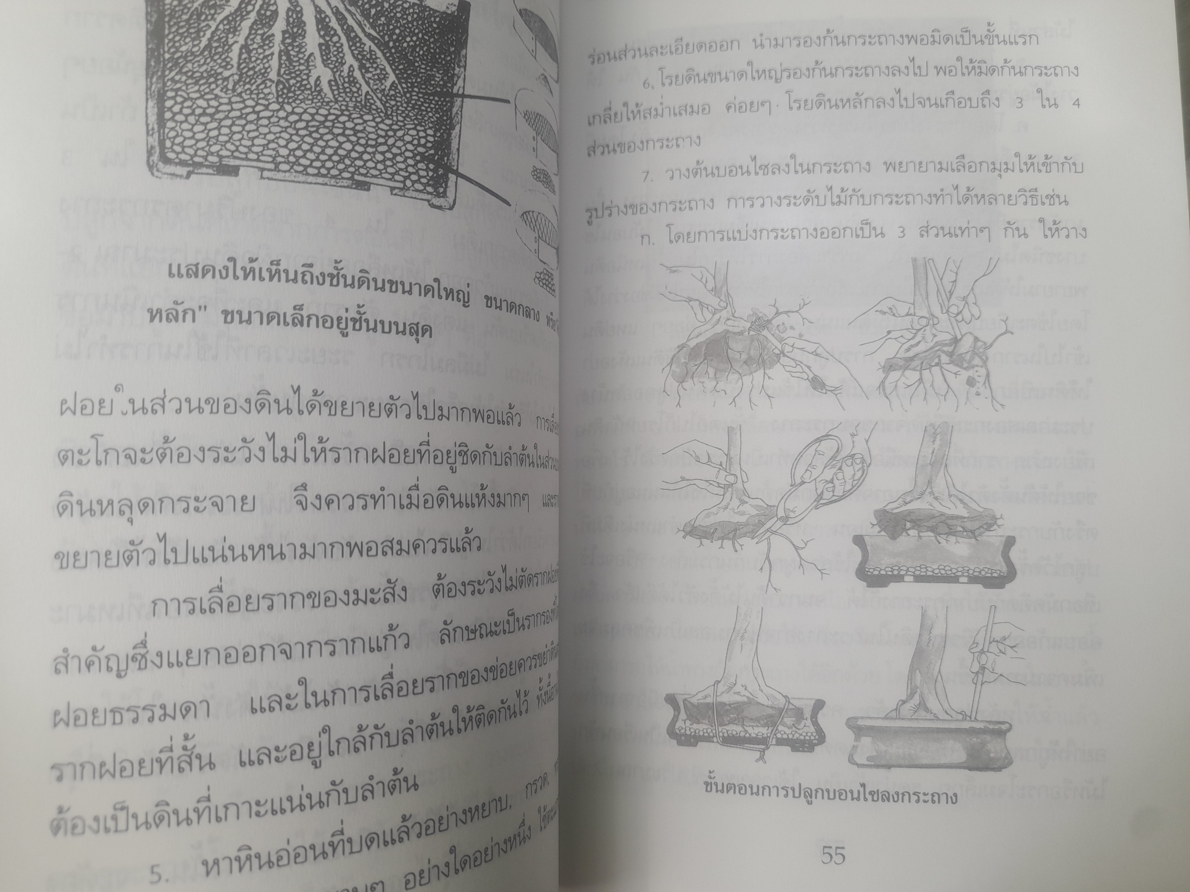 คู่มือการปลูกเลี้ยงบอนไซ โดย สมาน ศรีปราโมช ครบทุกเรื่องเกี่ยวกับบอนไซ