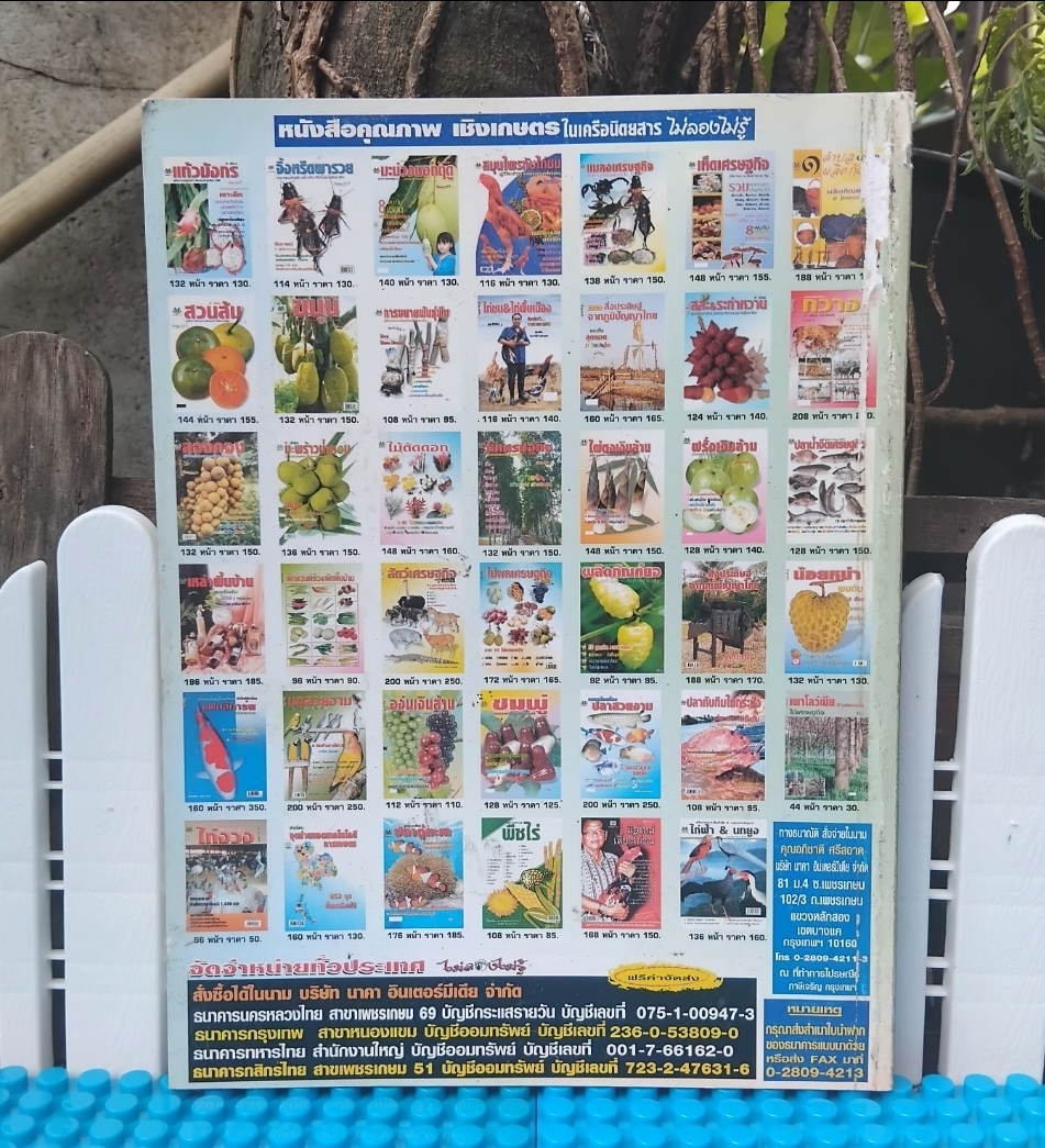 เหล้าพื้นบ้าน ครบเครื่องเรื่องไวน์ สาโท อุและน้ำตาลเมา จากภูมิปัญญาพื้นบ้าน โดย ณัฐกิตติ์ ธรรมเจริญ มือ1