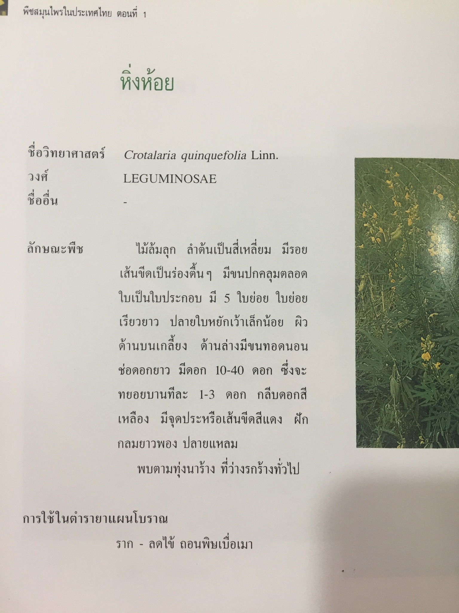 พืชสมุนไพรในประเทศไทย ตอนที่ 1. จัดทำโดย สถาบันวิจัยสมุนไพร กรมวิทยาศาสตร์การแพทย์ กระทรวงสาธารณสุข 2,800 กรัม