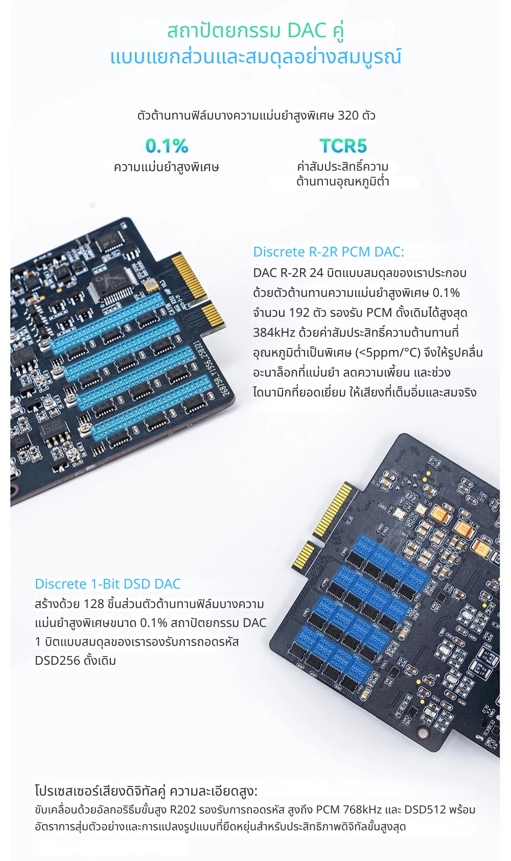 Cayin R202 เมนบอร์ดเสียงสำหรับ N6III พร้อมสถาปัตยกรรม DAC คู่ แบบแยกส่วน ประกันศูนย์ไทย