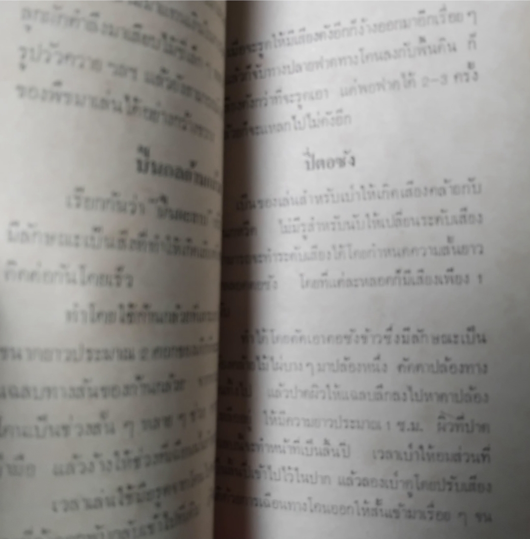 การละเล่นของเด็กลานนาไทยในอดีต โดย สุรสิงห์สำรวม ฉิมพระเนาว์ แนวคิดการมองโลกและปรับตัวของเด็ก เทียบมือ1