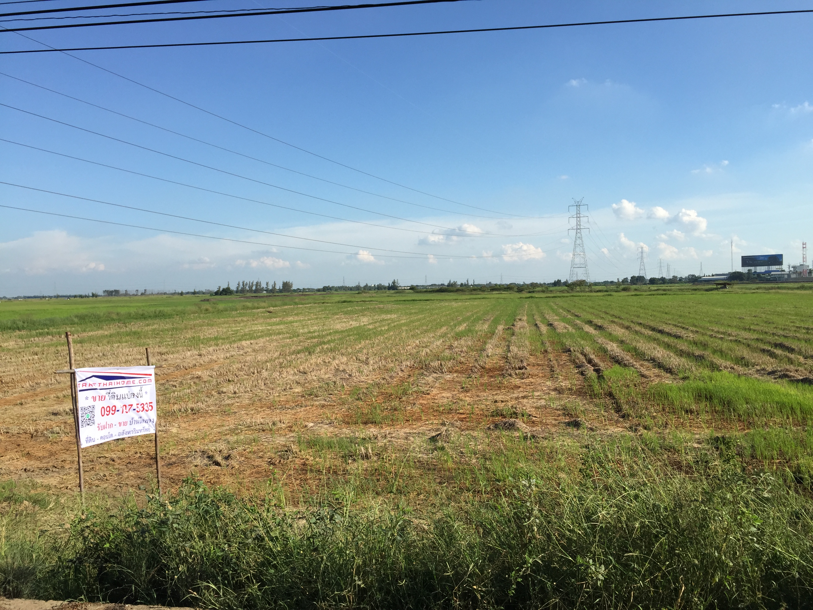 ที่ดินเปล่า19ไร่ ตำบล บ้านหว้า อำเภอ บางปะอิน พระนครศรีอยุธยา