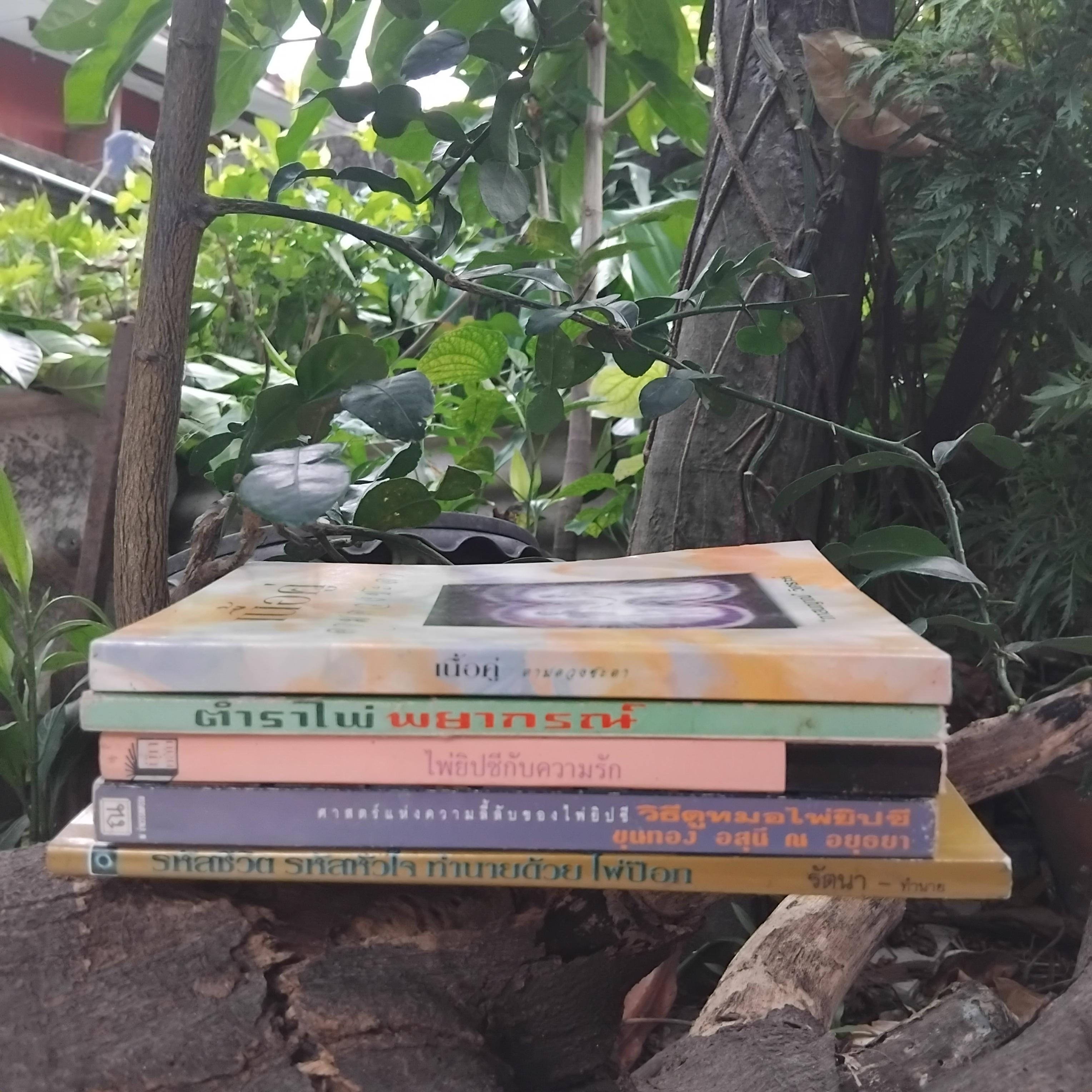 รวมหนังสือโหราศาสตร์ดูเนื้อคู่ ไพ่พยากรณ์ ไพ่ป๊อกและไพ่ยิปซีครับ สภาพสวยงามทุกเล่มครับ