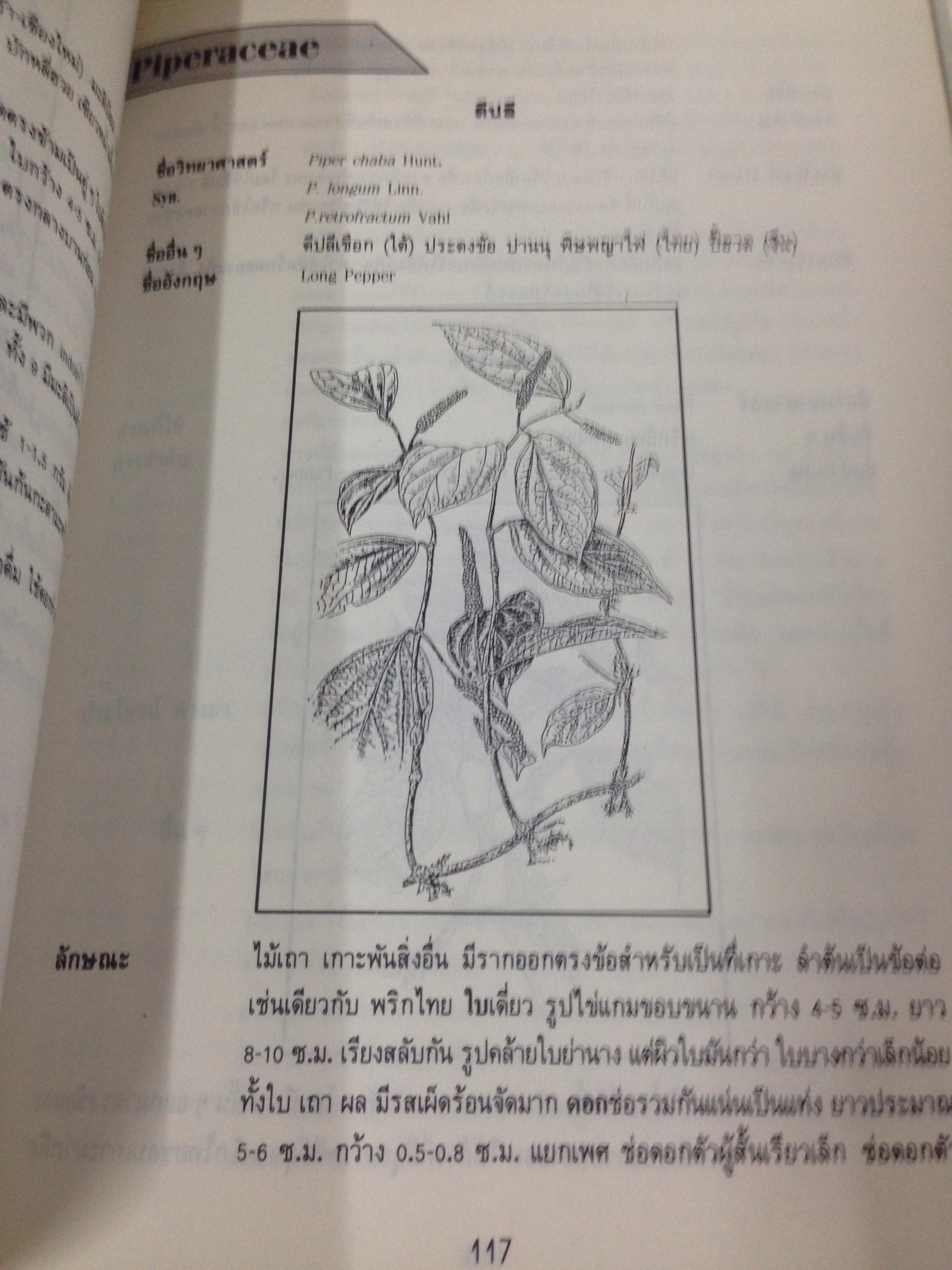 สมุนไพรก้าวใหม่ แก้ไขปรับปรุงใหม่จากตำรายาวิทยาศาสตร์สมุนไพร