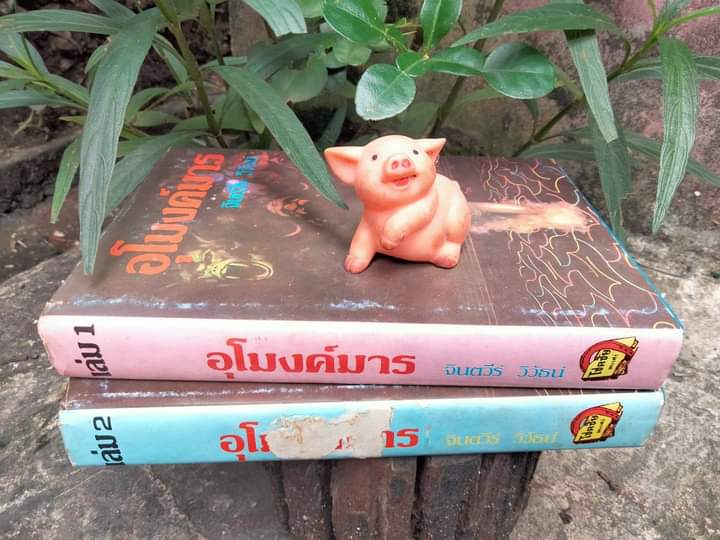 อุโมงค์มาร โดย จินตวีร์ วิวัธน์