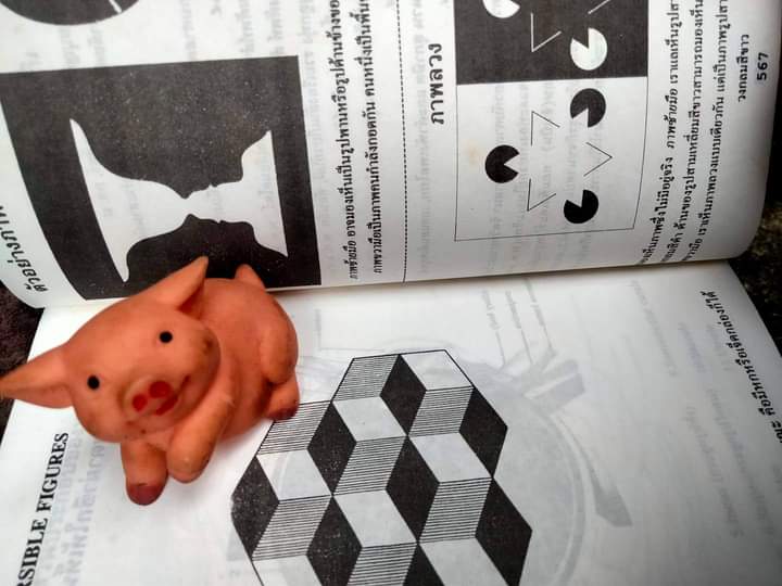 พจนานุกรมจิตวิทยาฉบับสมบูรณ์ Dictionary Psychology ฉบับ อังกฤษ-ไทย