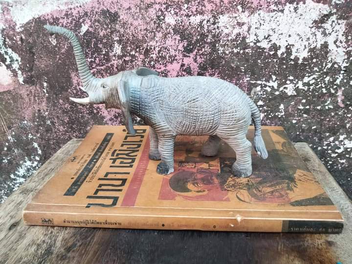 ปาปา เฮมิงเวย์ ตำนานมนุษย์ผู้มิได้เกิดมาเพื่อพ่าย