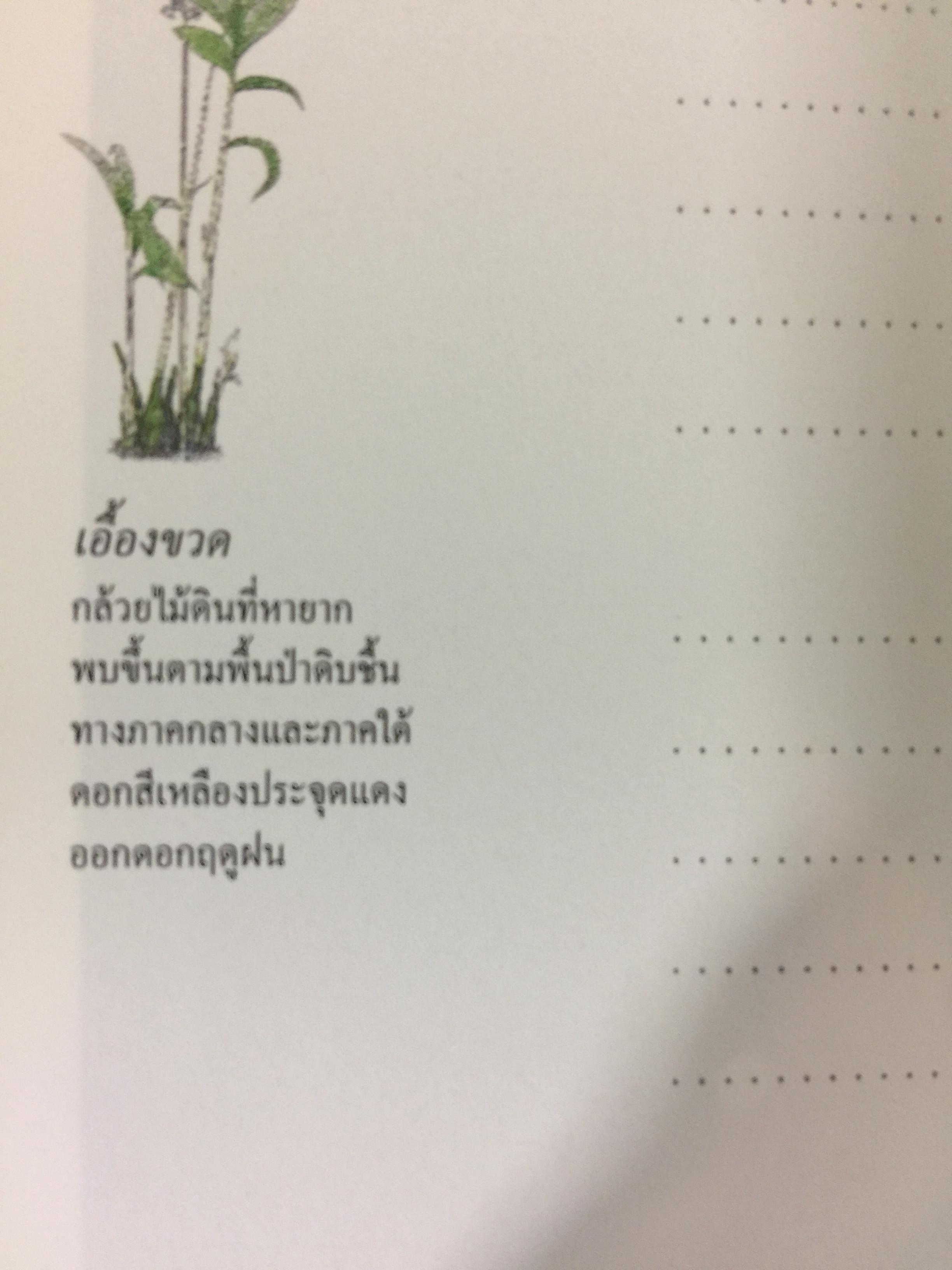 Wild Orchids of Thailand 0 กก.